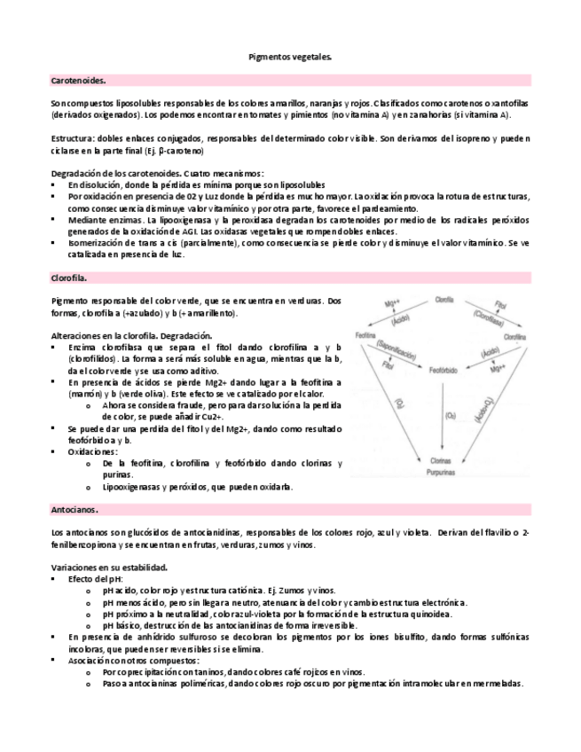 Miniatura del documento Pigmentos-vegetales.pdf