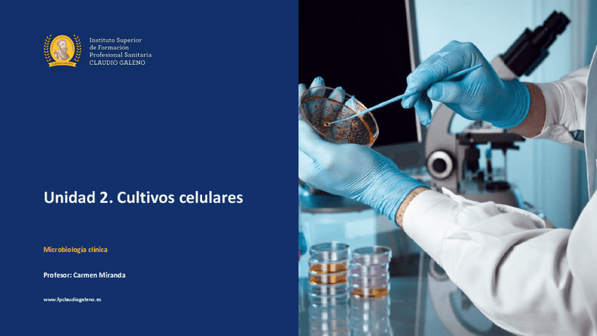 Miniatura del documento Tema2.pdf