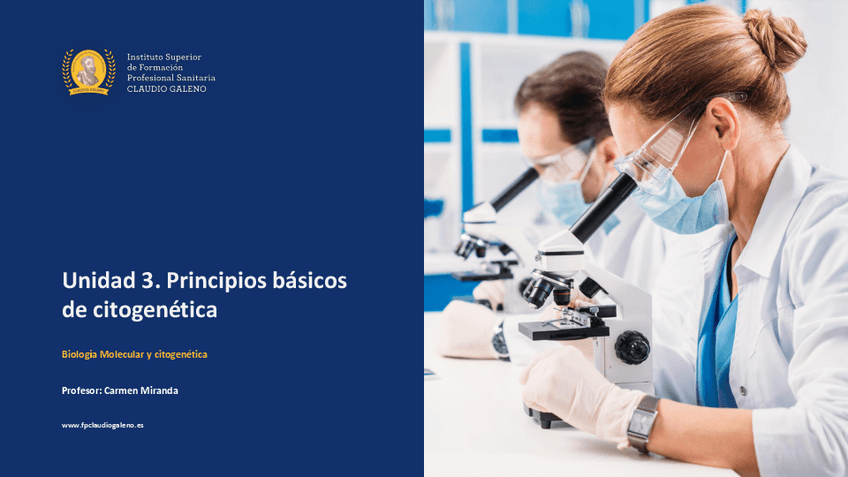 Miniatura del documento Tema3.pdf