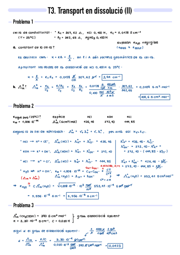 Miniatura del documento P3-Transport-en-dissolucio-II.pdf
