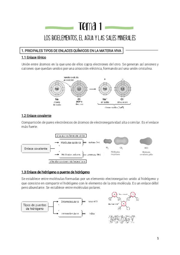 Miniatura del documento Tema-1-bioelementos.pdf