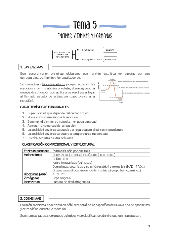 Miniatura del documento Tema-5-enzimas-vitaminas-y-hormonas.pdf