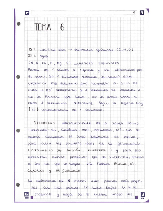 Miniatura del documento TEMA-6-fisiologia-vegetal.pdf