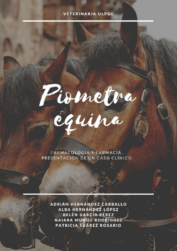 Miniatura del documento Piometra-equina-Trabajo.pdf