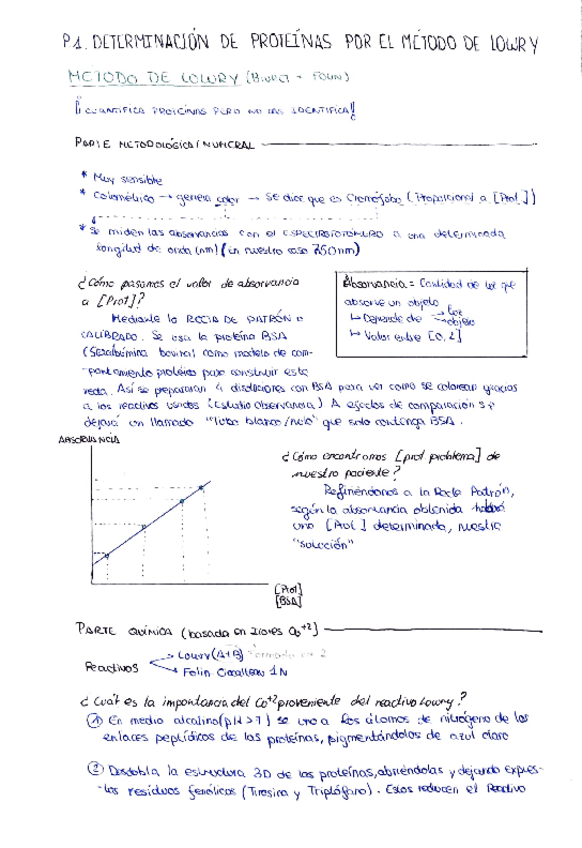 Miniatura del documento Practica-1-Bioquimica.pdf