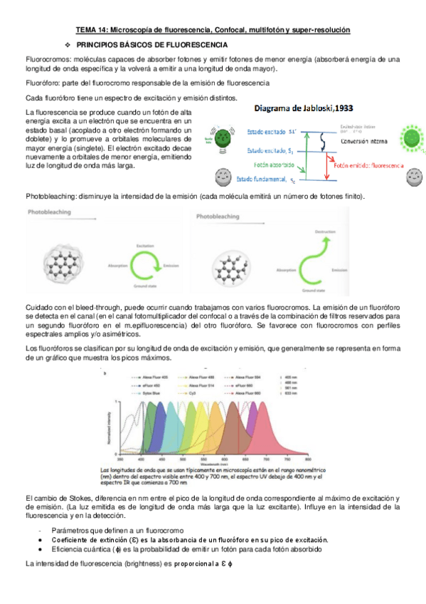 Miniatura del documento TEMA-14.pdf