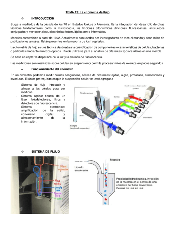 Miniatura del documento TEMA-13.pdf