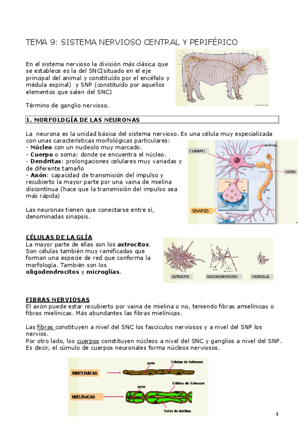 Miniatura del documento T.pdf