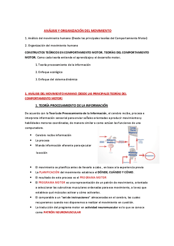 Miniatura del documento Desarrollo-de-habilidades-motrices-Tema-2.pdf
