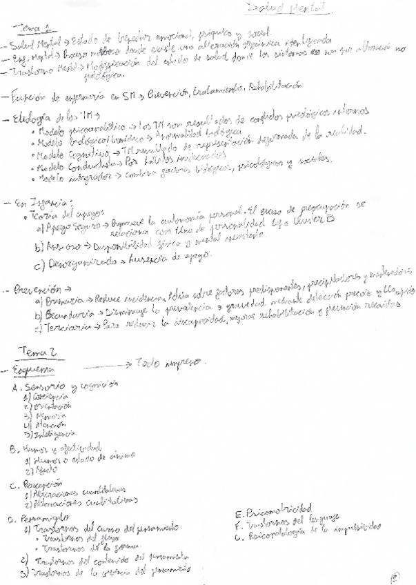 Miniatura del documento Todo-salud-mental.pdf