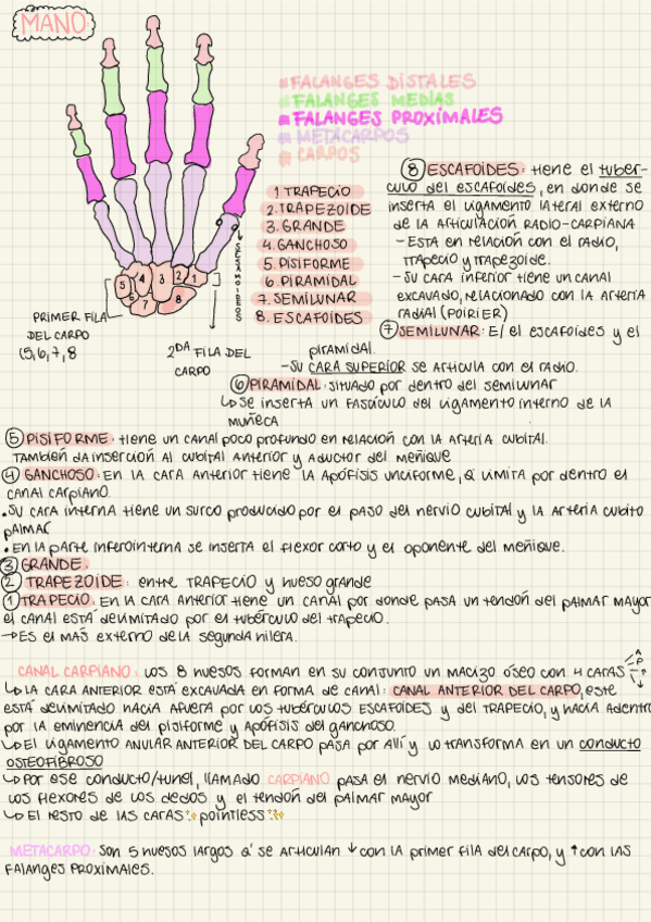 Miniatura del documento Tp-2Mano.pdf