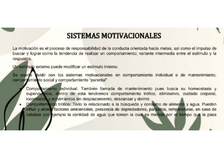 Miniatura del documento SISTEMAS-MOTIVACIONALES-1.pdf