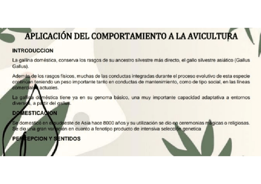 Miniatura del documento COMPORTAMIENTO-AVICULTURA.pdf