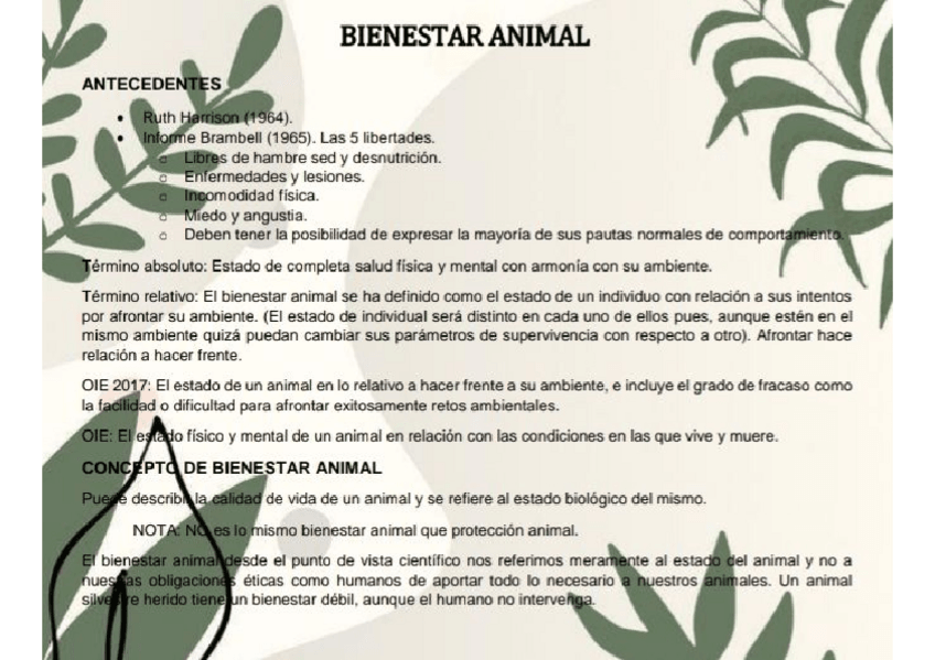 Miniatura del documento BIENESTAR-ANIMAL-1.pdf
