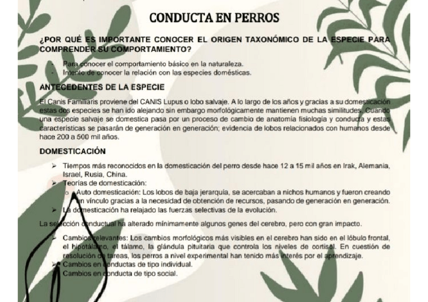 Miniatura del documento CONDUCTA-EN-PERROS.pdf