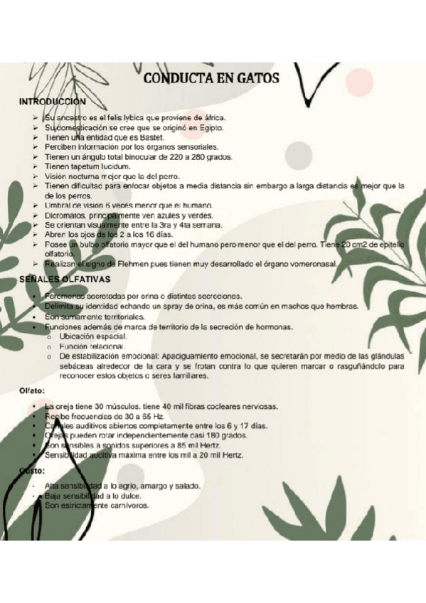 Miniatura del documento CONDUCTA-EN-GATOS.pdf