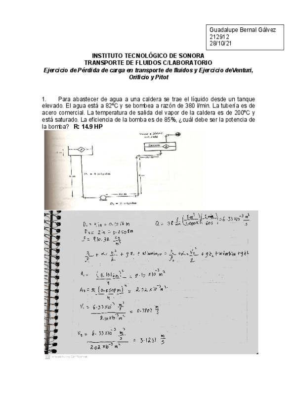 Miniatura del documento Perdida-de-carga-en-transporte-de-fluidos.pdf