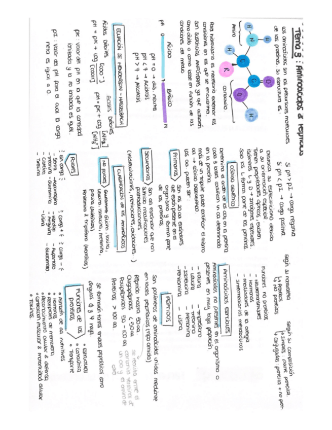 Miniatura del documento ESQUEMAS-T3-T22.pdf