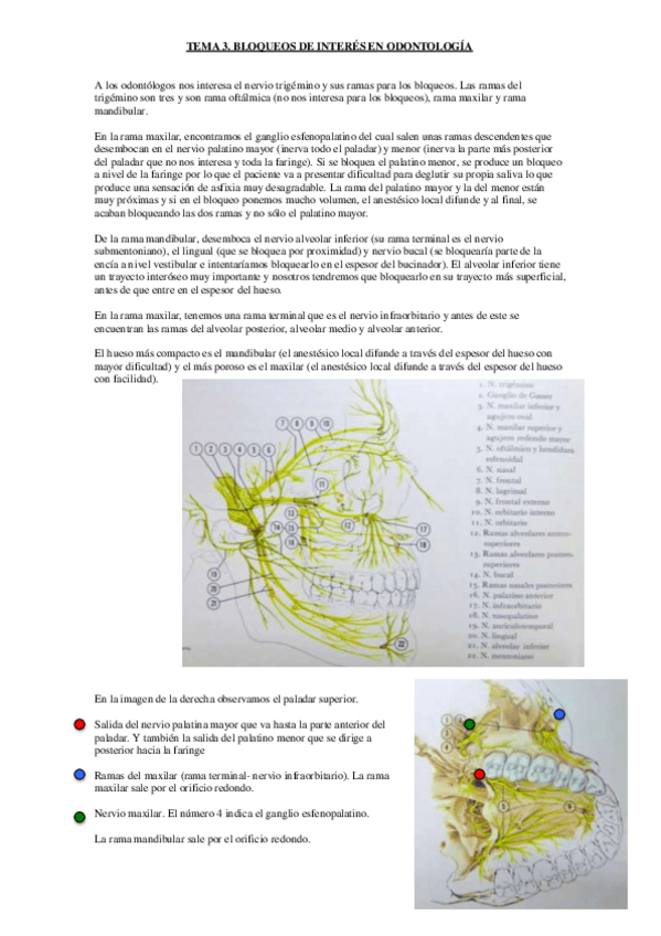 Miniatura del documento Tema-3.pdf