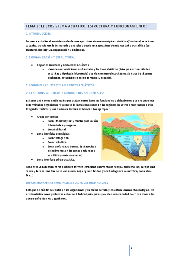 Miniatura del documento TEMA-3-li.pdf