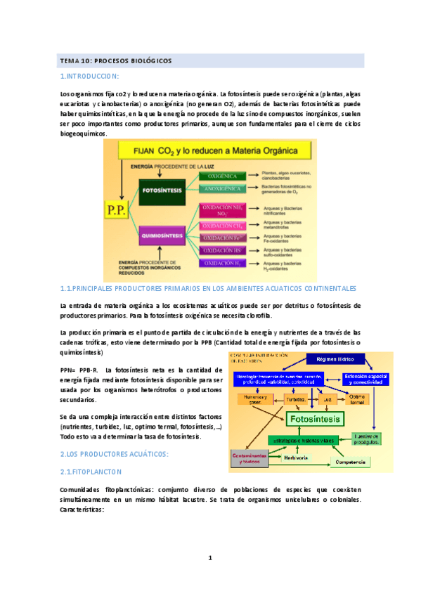Miniatura del documento TEMA-10-li.pdf
