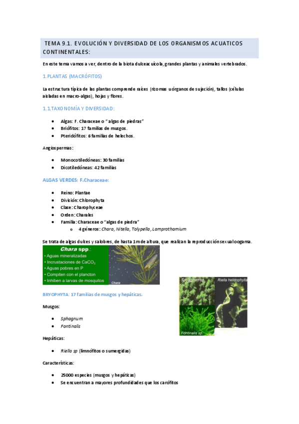 Miniatura del documento TEMA-9.pdf