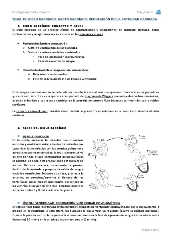 Miniatura del documento TEMA-19.pdf