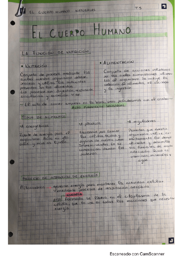 Miniatura del documento CamScanner-01-19-2022-20.pdf