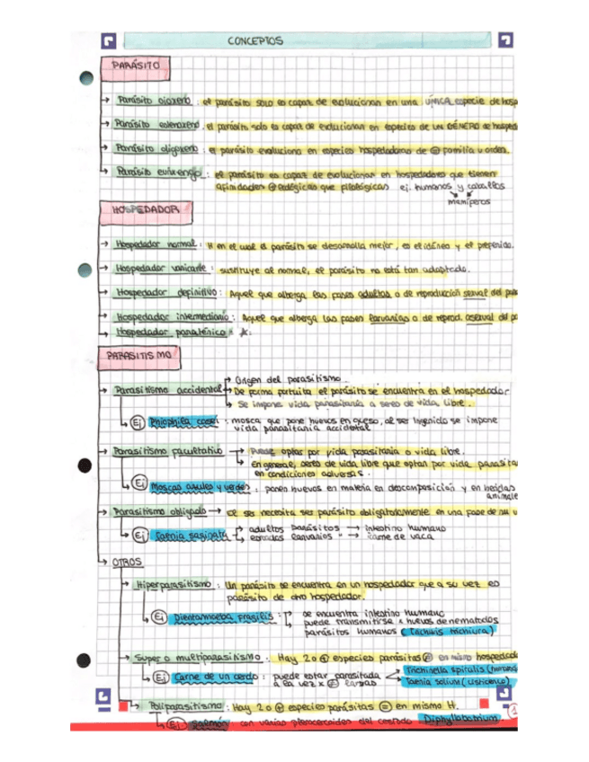 Miniatura del documento CONCEPTOS.pdf