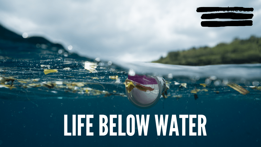 Miniatura del documento Presentation-CLIL-Unit.pdf