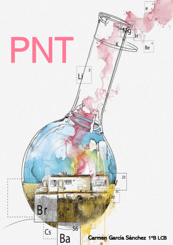 Miniatura del documento PNT-Carmen-Garcia-Sanchez.pdf