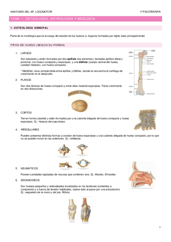 Miniatura del documento TEMA-1-osteologia-artrologia-y-miologia.pdf
