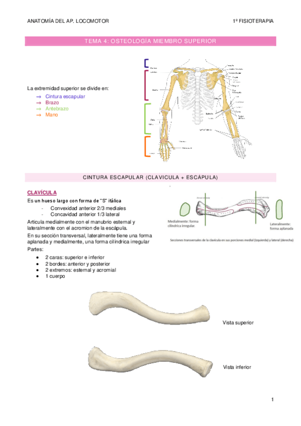 Miniatura del documento TEMA-4.pdf