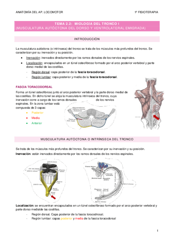 Miniatura del documento TEMA-2.pdf