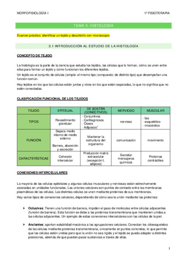 Miniatura del documento TEMA-3.pdf