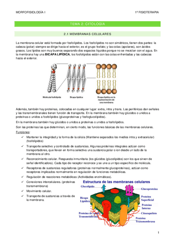 Miniatura del documento TEMA-2.pdf
