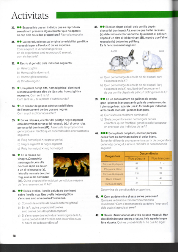Miniatura del documento 1.pdf