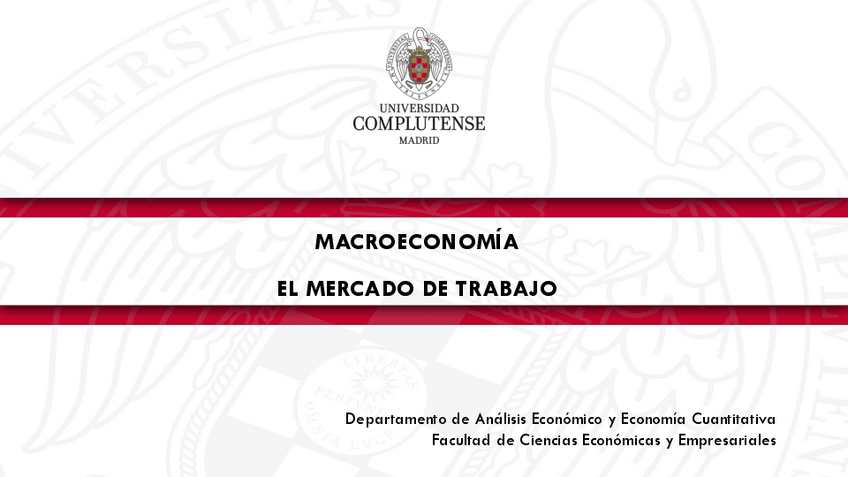 Miniatura del documento TODOSLOSTEMASmacroiii.pdf