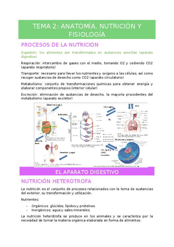 Miniatura del documento Tema-2.docx
