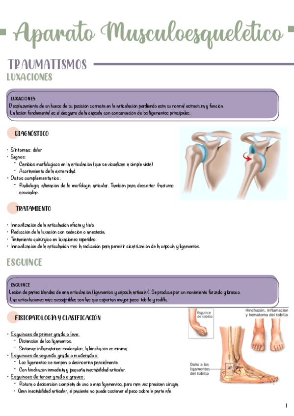 Miniatura del documento T10-Aparato-Musclo-esqueletico.pdf
