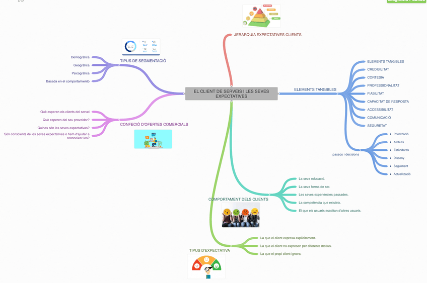 Miniatura del documento EL-CLIENT-DE-SERVEIS-I-LES-SEVES-EXPECTATIVES.png