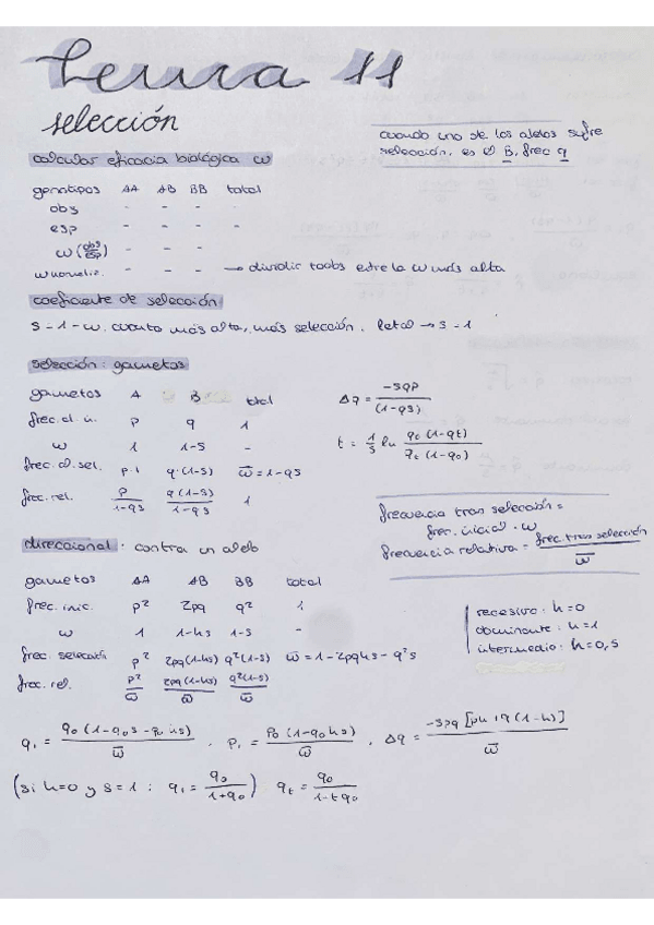 Miniatura del documento seleccion.pdf