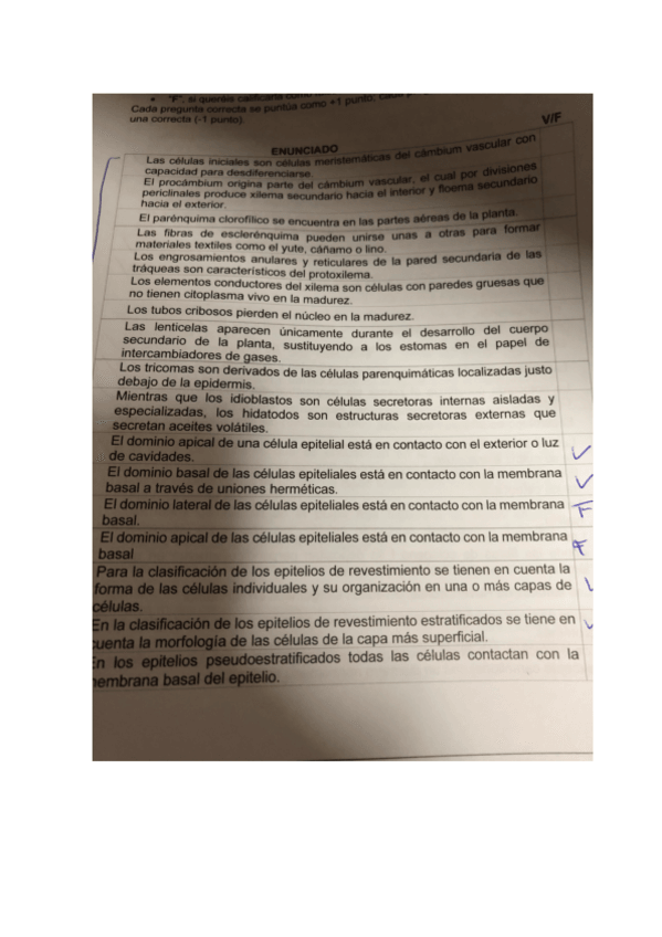 Miniatura del documento EXAMEN-ENERO-2022.pdf