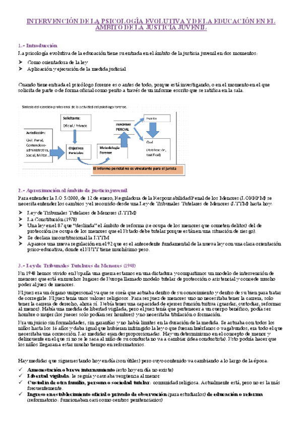 Miniatura del documento Intervencion-de-la-psicologia-evolutiva-y-de-la-educacion-en-el-ambito-de-la-justicia-juvenil.pdf
