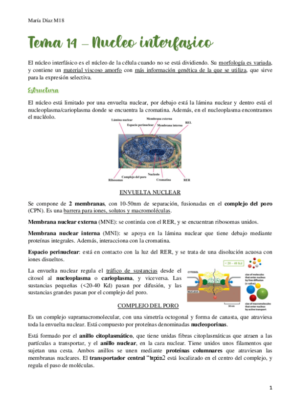 Miniatura del documento t14.pdf