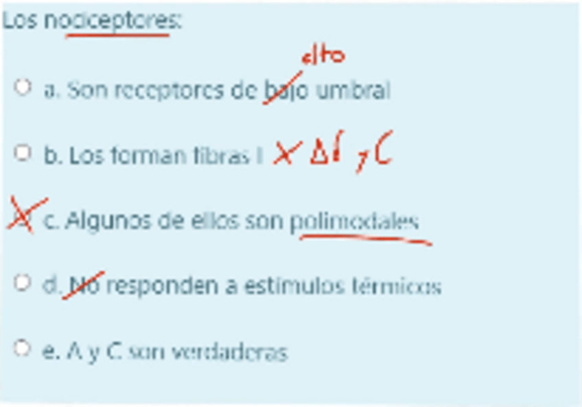Miniatura del documento final-corregido.pdf