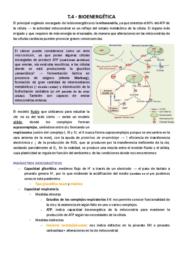 Miniatura del documento T.pdf