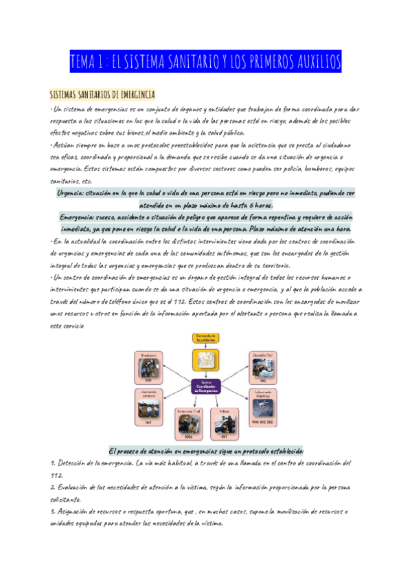 Miniatura del documento TEMA-1--EL-SISTEMA-SANITARIO-Y-LOS-PRIMEROS-AUXILIOS.pdf