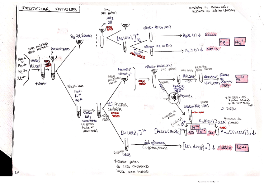 Miniatura del documento Esquema-identificacion-cationes.pdf