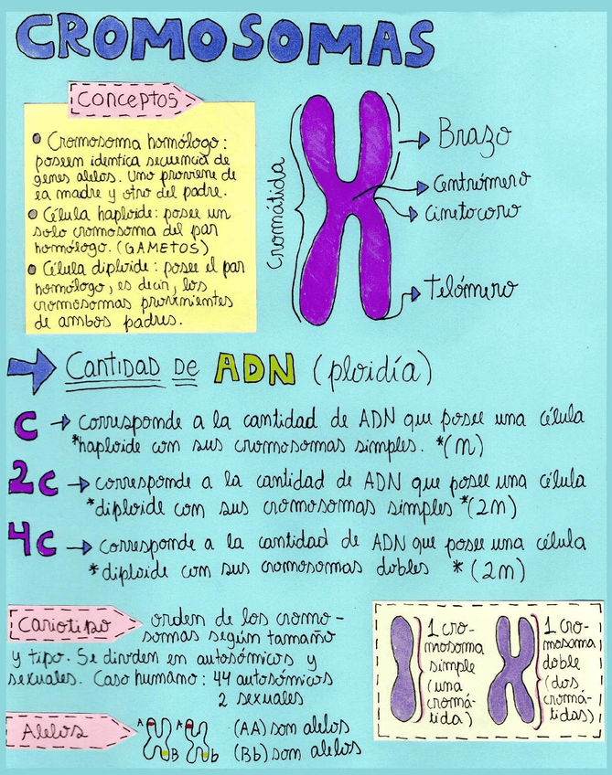 Miniatura del documento bio.png